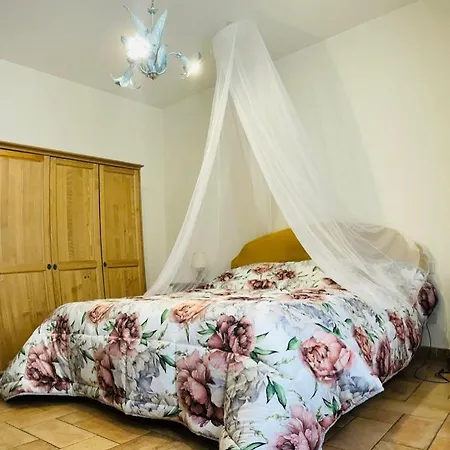 The Garden House *